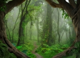 Fototapeta Vlies Livingwalls Tropický prales