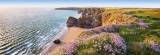 Fototapeta na zeď NORDIC COAST, rozkvetlé mořské pobřeží