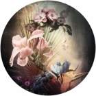 Samolepící fototapeta kruh - History of Arts - Vlámský květ