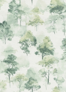 tapeta na zeď, Forest dreams, prales zelená